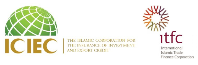 Islamic Corporation for the Insurance of Investment and Export Credit (ICIEC)