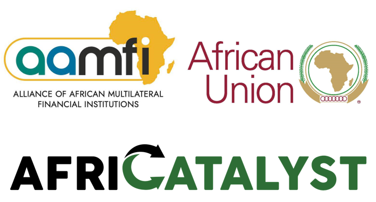 The Alliance for African Multilateral Financial Institutions Call for Increased Resource Mobilization for Sustainable Development