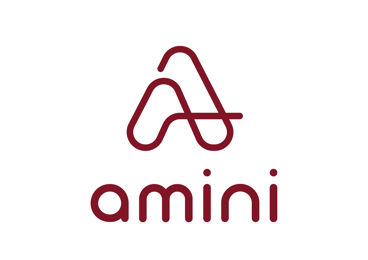 Amini