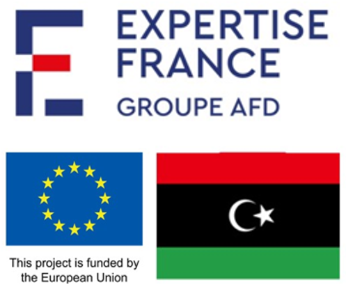 Expertise France