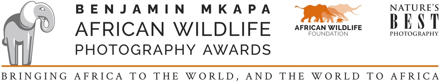 The African Wildlife Foundation (AWF)