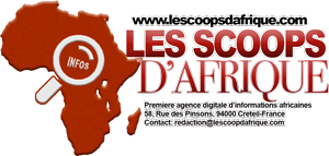 L’Agence Digitale d’Informations Africaines (ADIA)