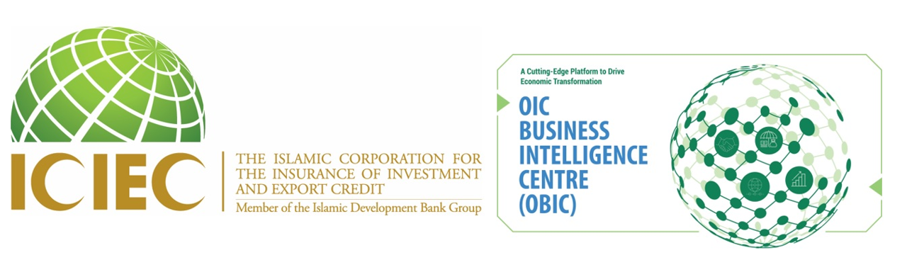 Islamic Corporation for the Insurance of Investment and Export Credit (ICIEC)