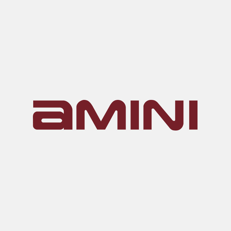 Amini