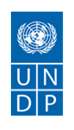 United Nations Development Programme (UNDP)