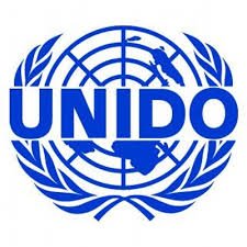 United Nations Industrial Development Organization (UNIDO)