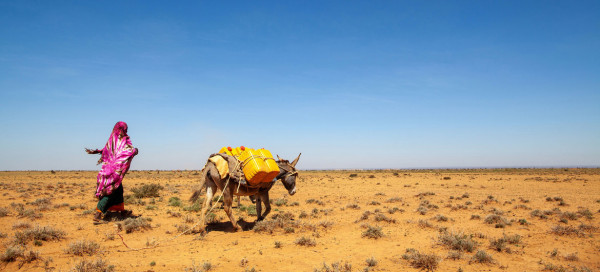 Coronavirus - Somalia: Frontline resilience in Somalia