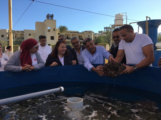 U.S. Supports Sustainable Tourism in Egypt’s Red Sea Governorate