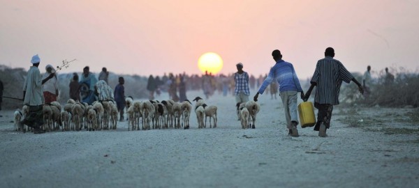 Coronavirus – Somalia: United Nations (UN) appeals to all Somalis to ‘come together’ in fight against COVID-19 pandemic