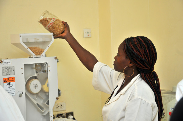 Togo: the African Development Bank grants a loan of over USD 26 million to develop key agricultural sectors through private-sector investments