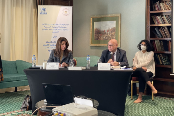 UNHCR, Egyptian Ministry of Foreign Affairs Organize a Workshop on Asylum Law