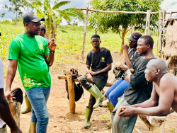 Edmond-Kombat-CEO-of-Oyster-Agribusiness-in-green-shirt-interacting-with-some-farmers-3.jpg