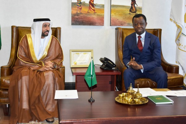 Pan-African Parliament President meets UAE Ambassador