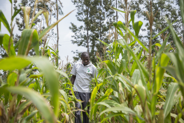 African Development Bank Group Board Approves More Than $1 Billion for Emergency Food Production Plan