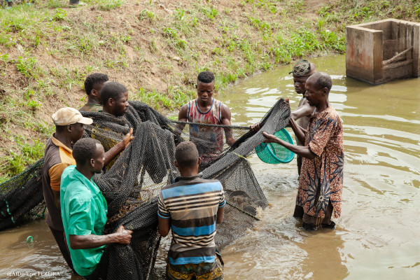 Bénin : un appui décisif du Fonds africain de développement préserve des jeunes ruraux du chemin de l’émigration clandestine vers l’Occident