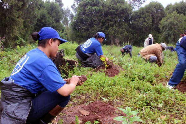 Ethiopia IOM Participates in Planting of World Record-breaking 353 Million Trees in One Day