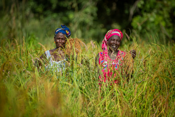 African Development Bank provides US$ 102.79 million to support farmers through climate resilient Special Agro-Industrial Processing Zones infrastructure in Guinea, Senegal, and Togo