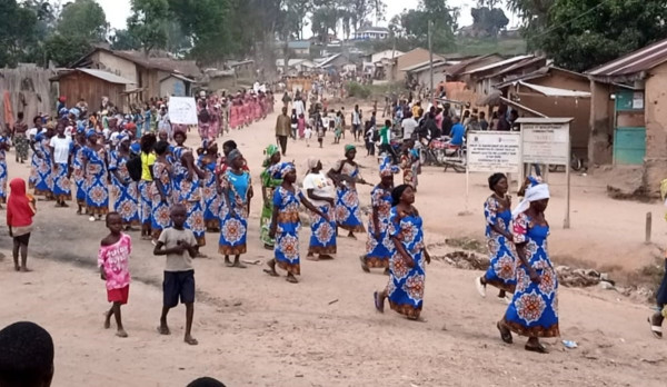 Mission de l'Organisation des Nations unies en République démocratique du Congo (MONUSCO)