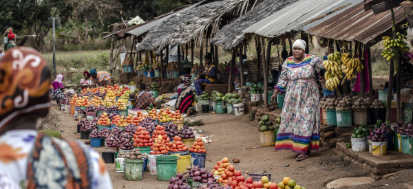 Food and Agriculture Organization (FAO)