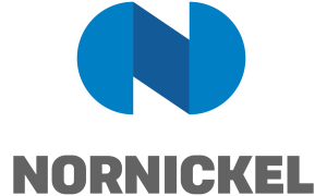 Nornickel’s Palladium Centre Proposed Initiatives for Public-Private Partnerships in Brazil, Russia, India, China, and South Africa (BRICS) Countries