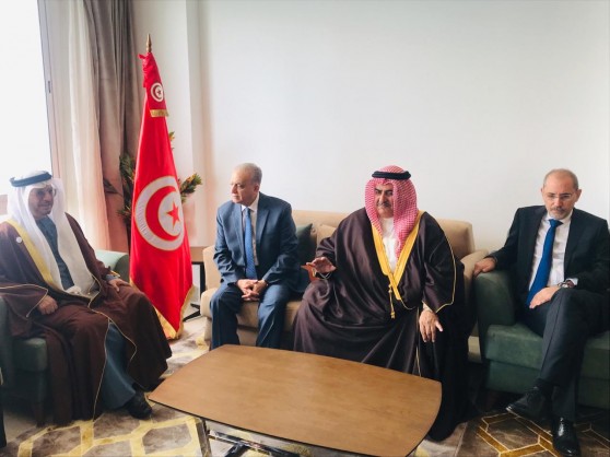 Foreign Minister Participates in Consultative Meeting of Arab Foreign Ministers in Tunisia