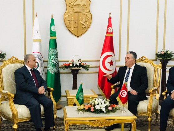 Foreign Minister Arrives in Tunisia to Participate in Preparatory Meeting of Arab Foreign Ministers