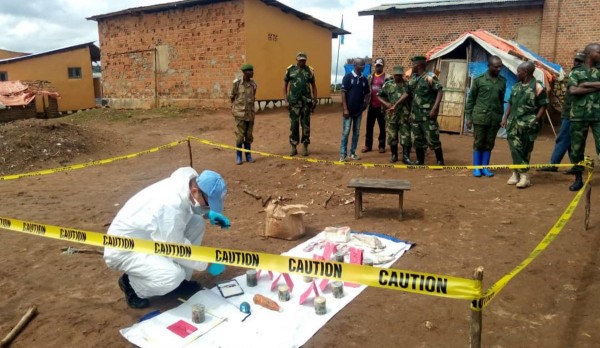 Mission de l'Organisation des Nations unies en République démocratique du Congo (MONUSCO)