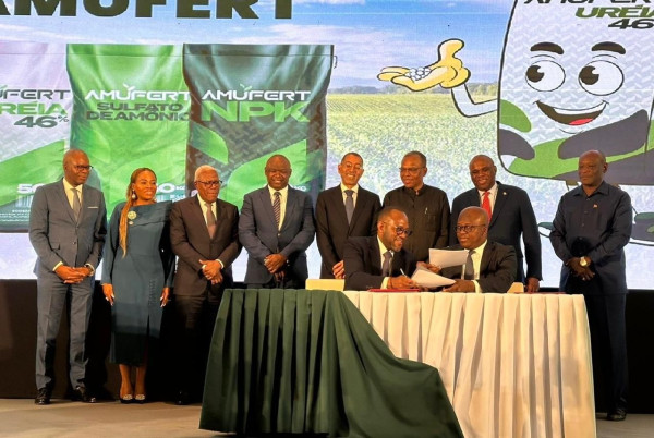 Afreximbank Commits $1.4B to Ammonia and Urea Fertilizer (AMUFERT ...