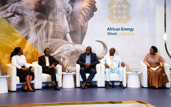 African Energy Week (AEW) 2024: Efficiency and Demand Management Key to Sustainable Development