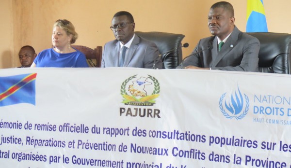 Mission de l'Organisation des Nations unies en République démocratique du Congo (MONUSCO)