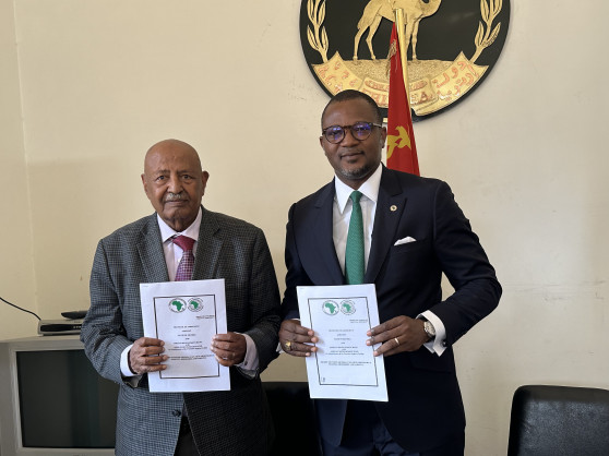 Desert to Power: The African Development Bank Group, Eritrea sign agreement for 12 MW mini-grid project