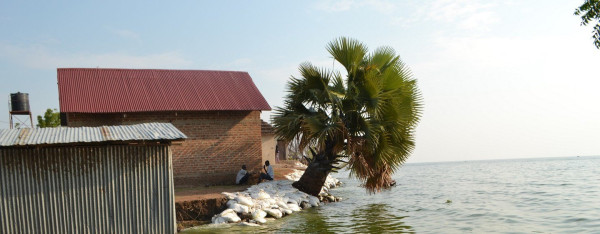 Economic effects of Lake Albert flooding 'devastating' for affected Ugandans