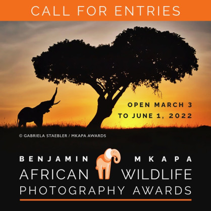 The African Wildlife Foundation (AWF)