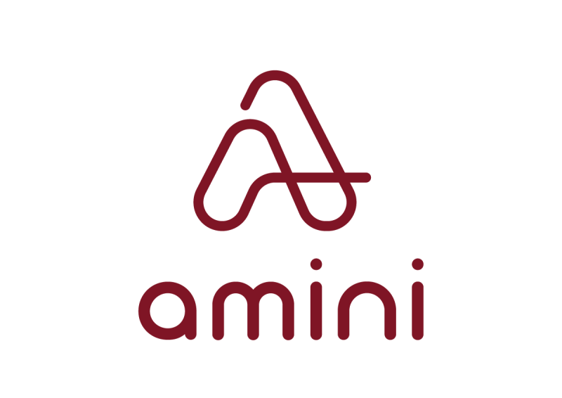 APO Group - Africa Newsroom / Press release  Amini raises 2 million  dollars to solve environmental data scarcity for Africa