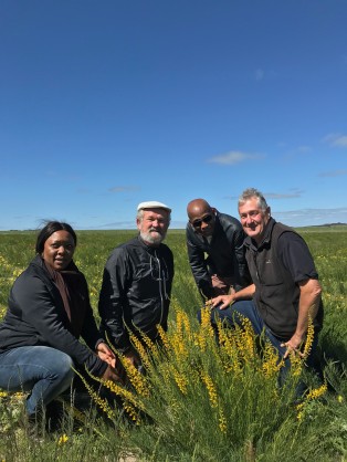 The scientific breakthrough that could turn Australia's arid land into green pasture