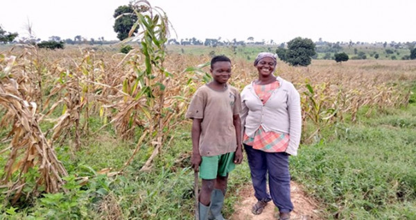 A Ghanaian maize farmer thrives on the ashes of destroyed forest