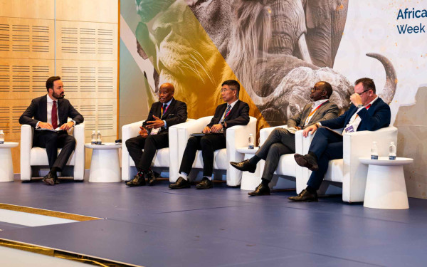 African Energy Week (AEW) 2024: Africa’s Energy Infrastructure Can Only Succeed with Enhanced Transmission