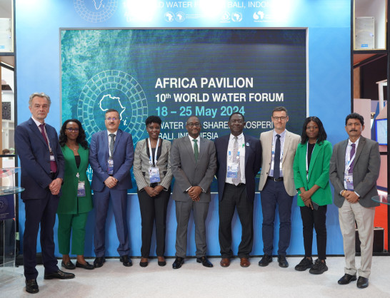 African Development Bank at the 10th World Water Forum: showcasing commitment to facilitating access to water and sanitation resources in Africa