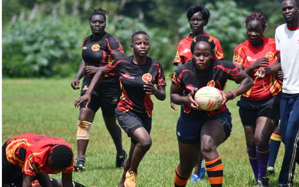 Lady Cranes XV Selection