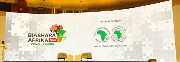 African Development Bank Group (AfDB)