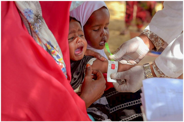 Somalia: Three million face starvation and disease, warns IFRC, as it calls for swift action