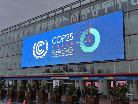 2019 UN climate change conference (COP25): African Development Bank urges African nations to persist with climate change ambitions as marathon talks end in Madrid