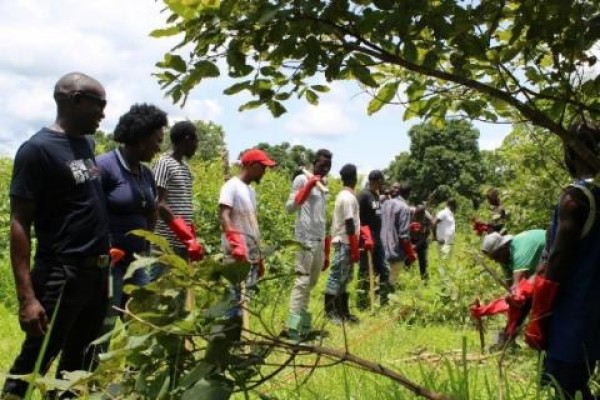 Towards the Sustainable Reintegration of Returned Migrants: Cash for Work activities in Guinea Bissau