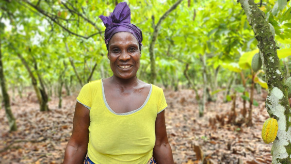 Cultivating Hope: Ivorian Cocoa Farmers' Path to Empowerment
