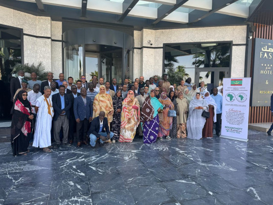 African Development Bank Group (AfDB)