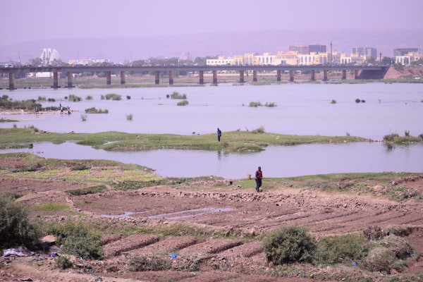 Focus on Climate Risks and Migration; Appoint Special Envoy for Climate Change and Security, new Stockholm International Peace Research Institute (SIPRI) essay