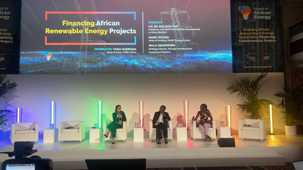 Africa Requires 7B Annually to Achieve 2030 Sustainable Development Goals (SDGs), Says Invest in African Energy (IAE) 2024 Panel